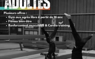 Talence Gymnastique, Loisirs Adulte